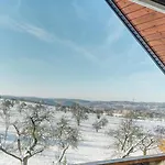 Dinkelberg Appartement Adelhausen